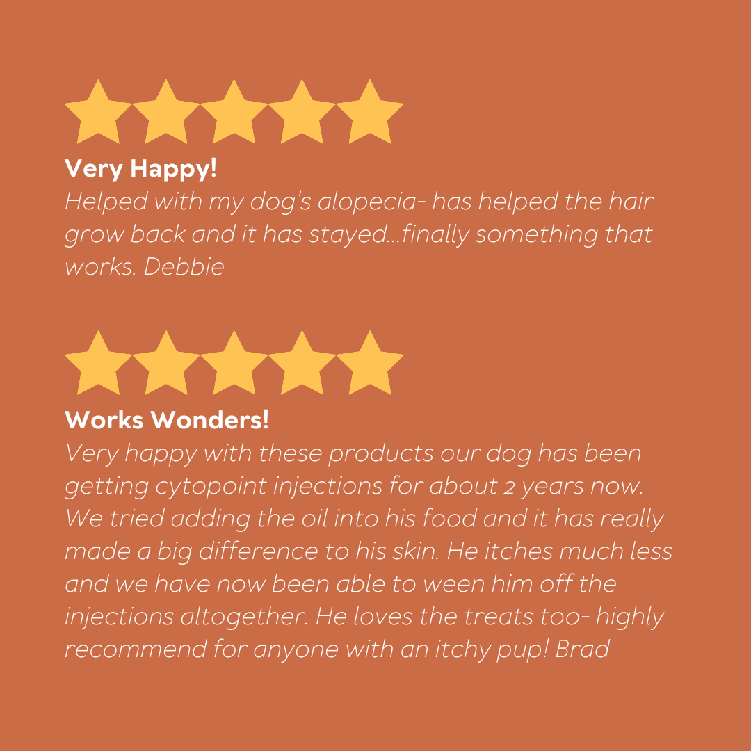 Skin, Coat & Nail Bundle