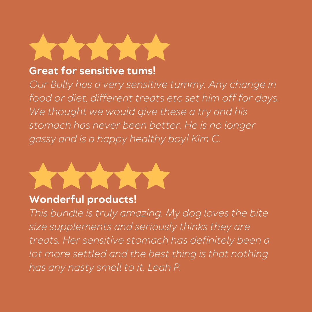 Digestive Health Bundle