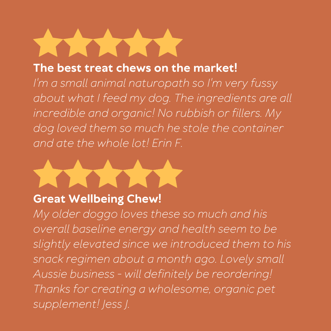 Daily Wellbeing Vitamin Supplement Chew 250g