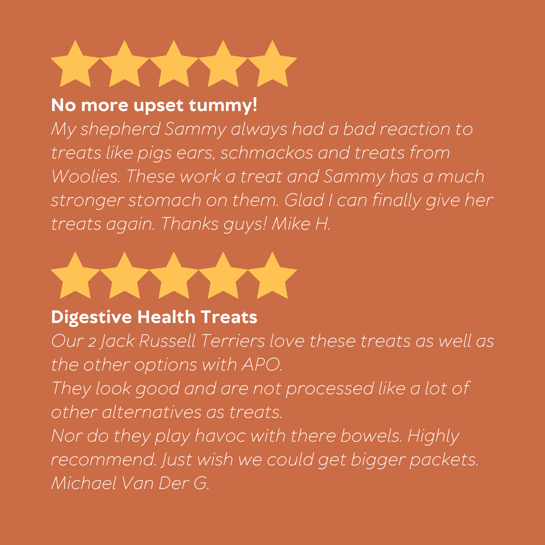 Digestive Health Treats 150g