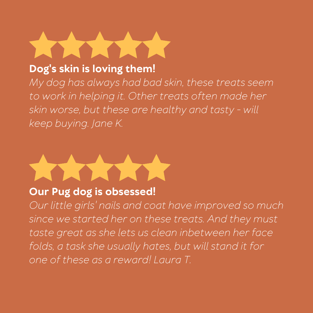 Skin, Coat & Nail Treats 150g