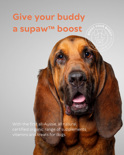 Organic dog supplements cheap