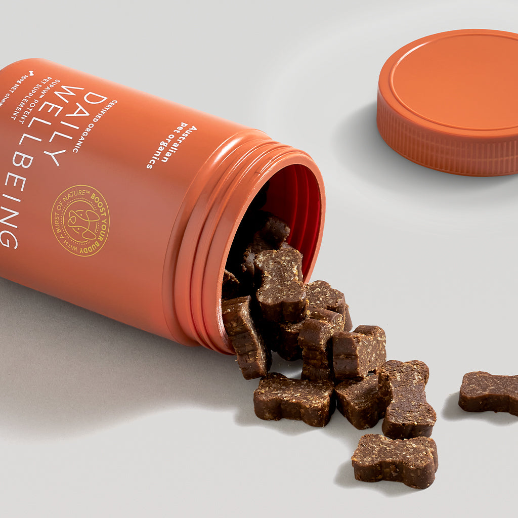 Daily Wellbeing Vitamin Supplement Chew 250g