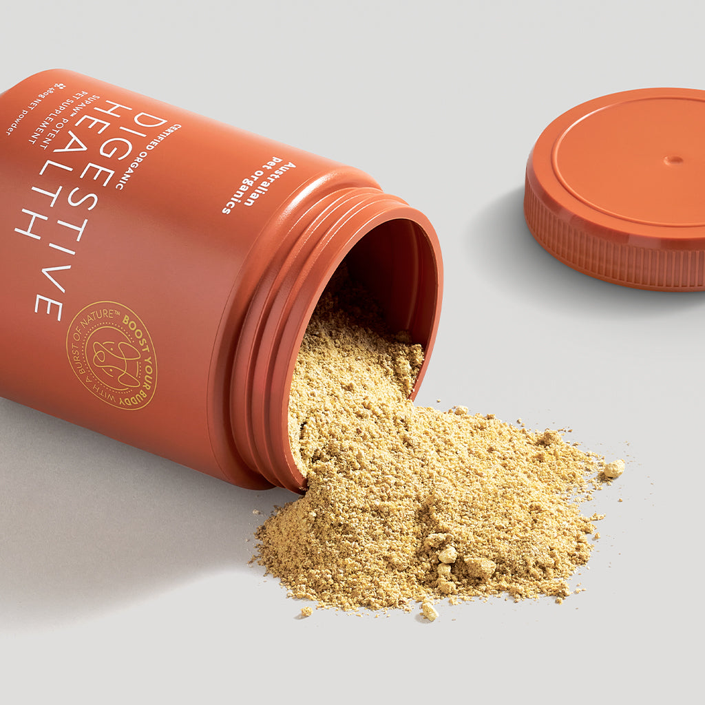 Digestive Health Supplement